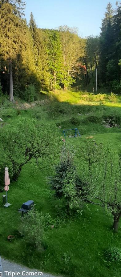 Pod Modrzewiem Mieszkania Wakacyjne Duszniki Zdrój Exterior foto